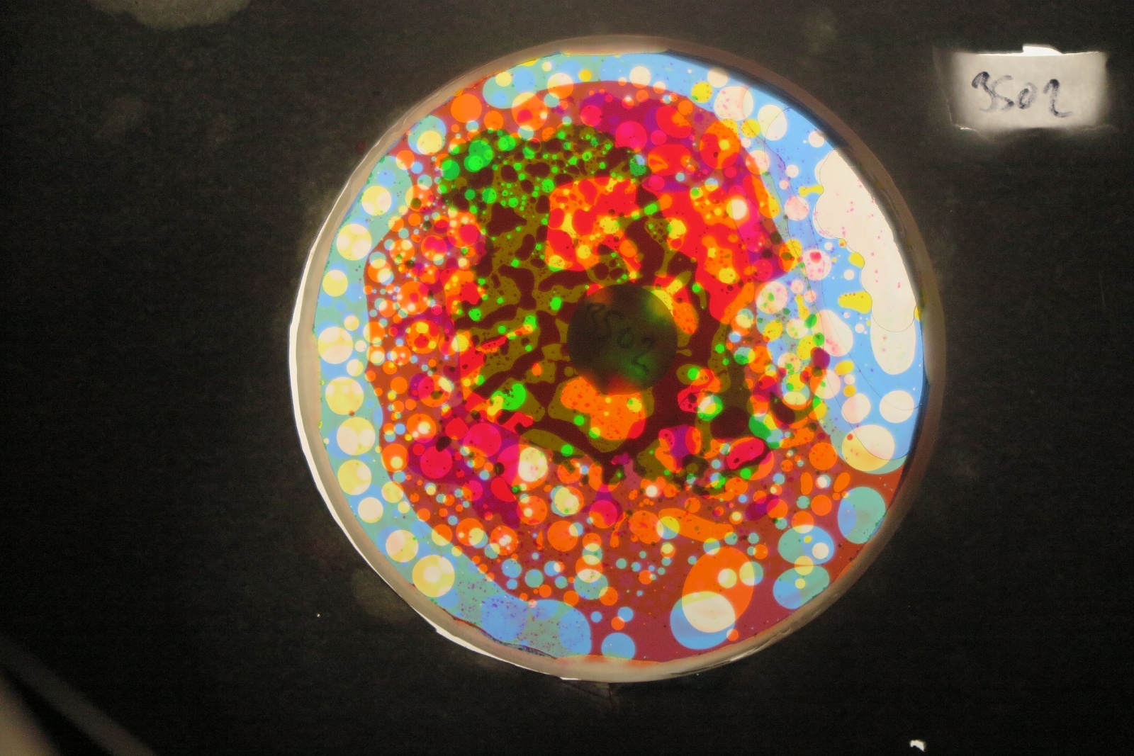 BV3502 bubble vision oil wheel